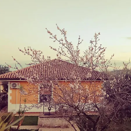 Leonardo * Canicattini Bagni