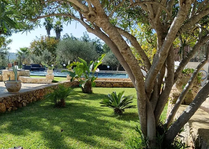 Leonardo Сasa de vacaciones