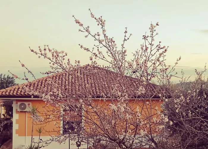 Leonardo * Canicattini Bagni